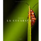 La Cucaracha Orchestra sheet music cover